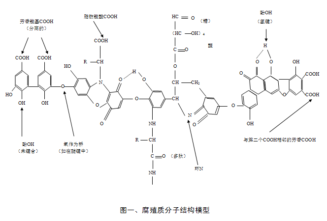 腐殖质技术