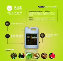 沃动力